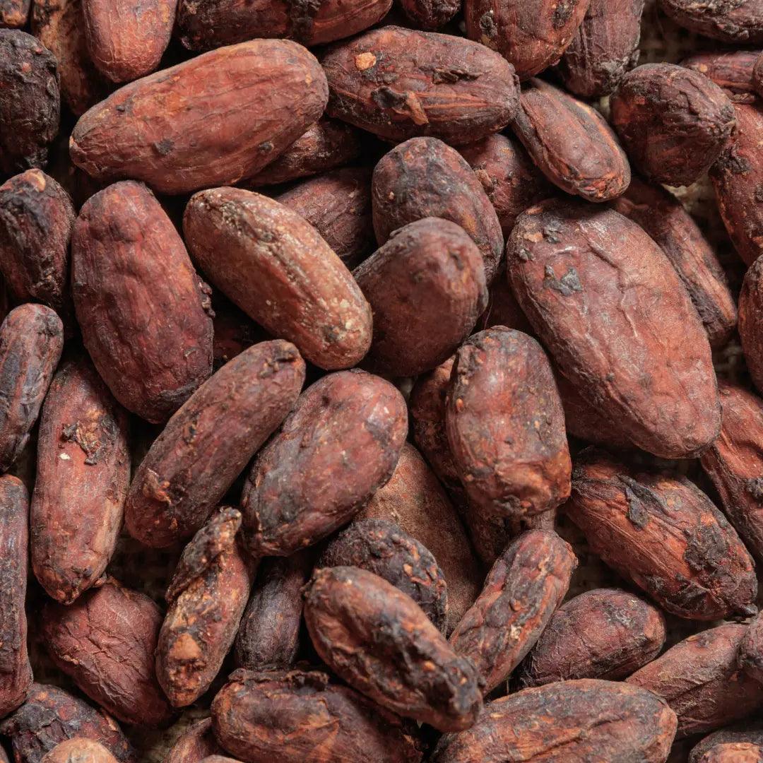 Cacao beans